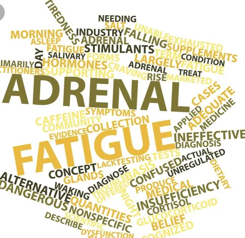 Miniatura 8 de Miracle Adrenal Essence Doctor's Choice - Suplemento adratogénico de hierbas y vitaminas