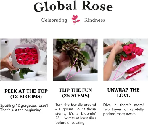 Miniatura 7 de GlobalRose Ramo de 100 Rosas Melocotón - Rosas de Origen Responsable Flores Frescas - Ramo Fresco de Flores Seleccionadas a Mano para Graduación