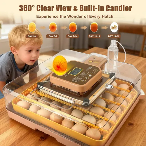 Miniatura 3 de Incubadora de 48 Huevos con Giro Automático y Control de Humedad Incubadora Digital de Aves de Corral para Huevos de Pollo, Pato, Codorniz, Ideal