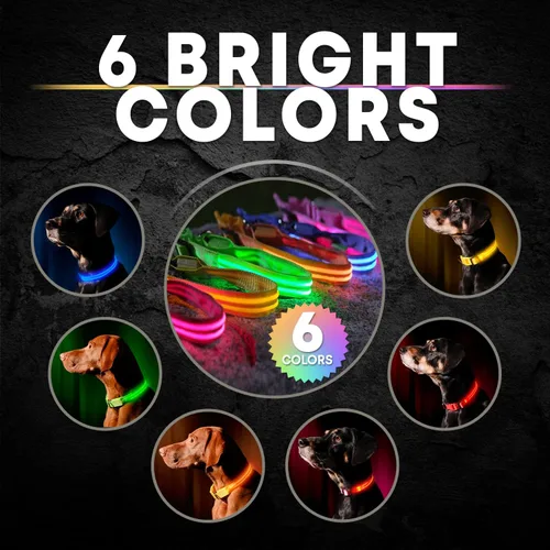 Miniatura 7 de Collar para perros LED Illumiseen, recargable por USB, Anaranjado encendido