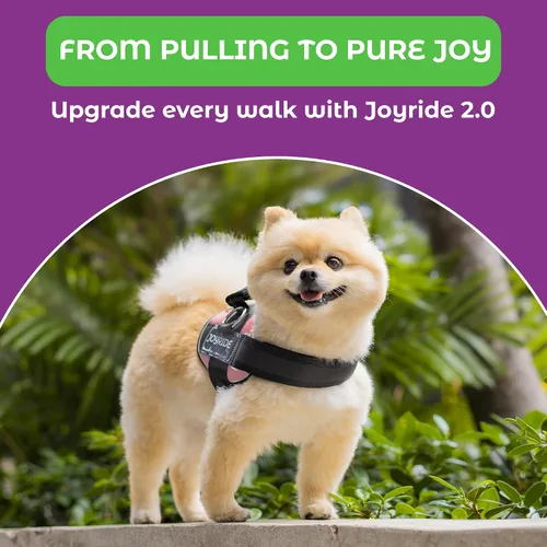 Miniatura 7 de Joyride Harness 2.0 - El arnés original para perro con anilla lateral sin tirones - Sin estrangulamiento, a prueba de escapes, reflectante, 3 clips