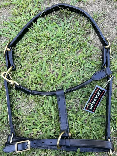 Miniatura 7 de Leaders - Cabestro de cuero para caballos con placa de nombre grabada personalizada, cabestro para caballo, negro/latón
