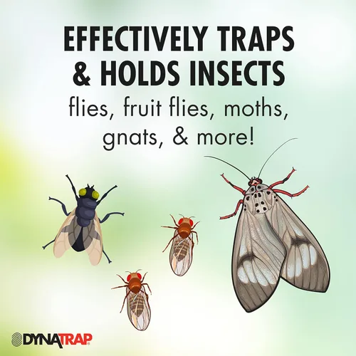 Miniatura 3 de DynaTrap 230093 Tarjetas adhesivas StickyTech de repuesto para Flylight, trampa de enchufe para moscas y otros insectos voladores en interiores