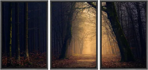 Miniatura 81 de SIGNWIN Lienzo enmarcado para pared, juego de arte nublado de tormenta, cielo, bosque otoñal, árboles, rústico, naturaleza, fotografía, realismo