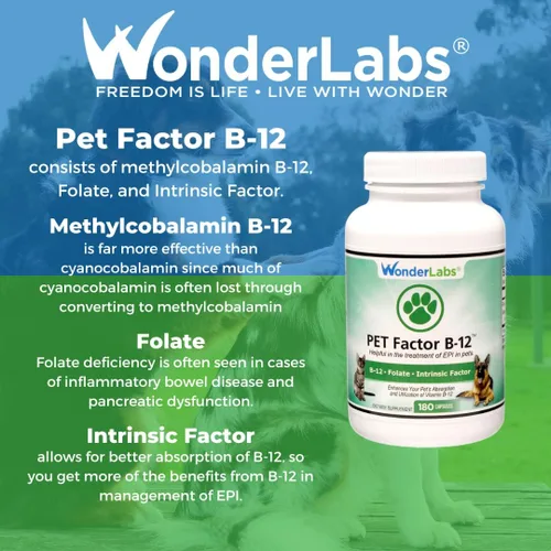 Miniatura 7 de Wonder Laboratories Pet Factor B-12 Vitamina B-12 en forma de metilcobalamina Popular en el tratamiento de EPI en perros 180 cápsulas