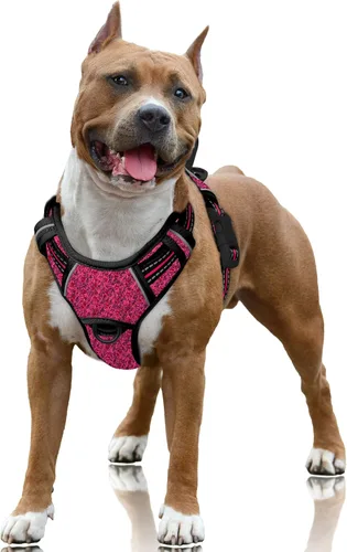 Miniatura 105 de BARKBAY Arnés para Perro Sin Tirones Talla Grande Arnés Reflectante para Perro con Clip Frontal y Asa de Control Fácil para Caminar Entrenar Correr