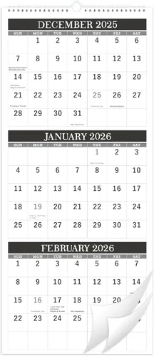Calendario de pared 2026, calendario de pared de 3 meses (plegado en un mes), enero de 2026 a diciembre de 2026, 11.25 x 26 pulgadas, calendario