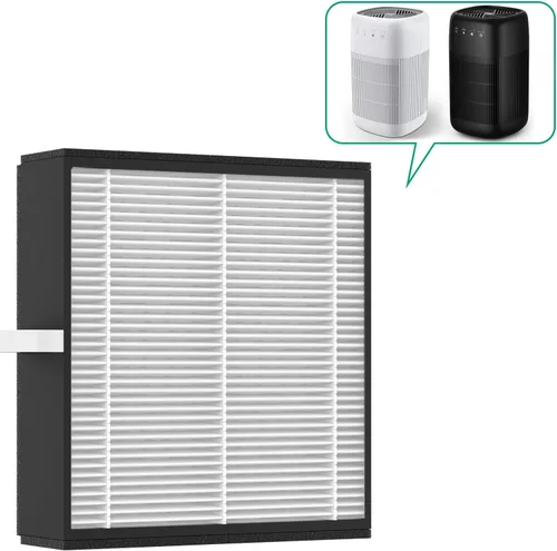Afloia Filtro eficiente para purificador de aire Q10 y deshumidificador 2 en 1 (reemplazo del filtro del purificador de aire Q10)