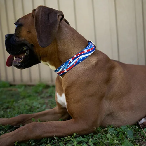 Miniatura 3 de Country Brook Petz HossFit Jr - Collar ancho de Martingala para perro, colección Americana con diseños patrióticos (celebración americana, mediano)