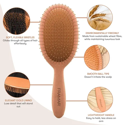 Miniatura 3 de FRAMAR Cepillo desenredante para cabello húmedo - Cepillos para cabello húmedo para mujeres, cepillos desenredantes para cabello grueso, cepillo