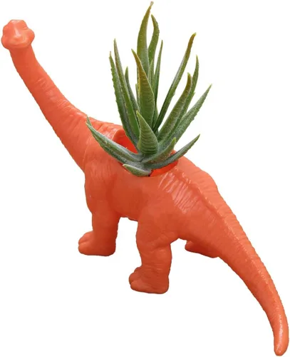 Miniatura 13 de Aislor Maceta suculenta con forma de dinosaurio con bandeja de drenaje, florero multiusos para bonsái, maceta creativa de cactus con orificio