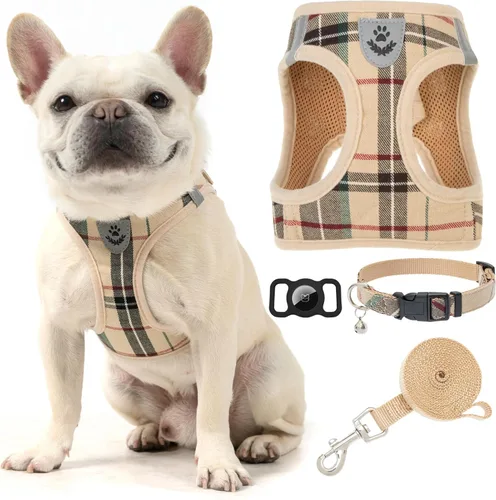 Miniatura 15 de EXPAWLORER Arnés Clásico de Plátanos para Cachorros - Juego de Arnés y Correa para Perros Pequeños - Juego de Collar y Correa para Perros con Azul