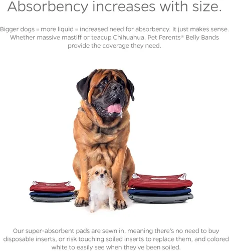 Miniatura 4 de Pet Parents® Bandas para el vientre lavables para perros machos (paquete de 3) + Extendrs® de pañales duraderos para perros machos, pañales prémium