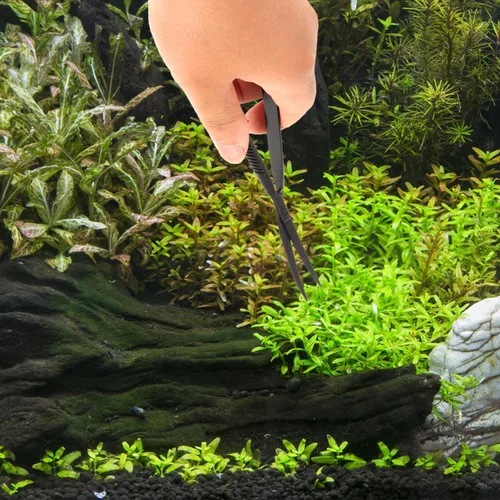 Miniatura 9 de POPETPOP Tijeras curvadas de acuario de 6.1 pulgadas, tijeras de hierba para agua, acción de precisión con resorte para paisajismo acuático y poda