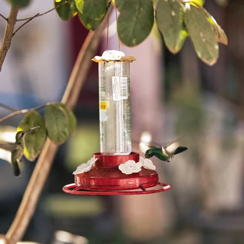 Miniatura 4 de Estink Flores de repuesto para comedero de colibríes, 30 juegos de cubiertas de puerto de alimentación multicolor para comederos de colibríes, atrae