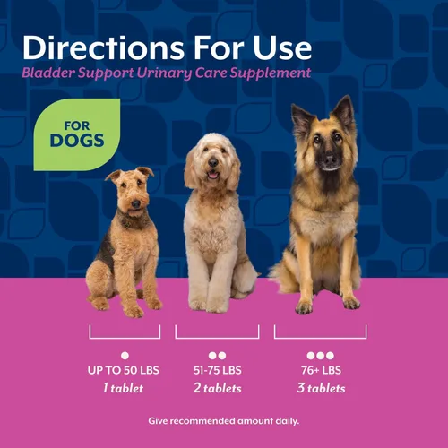 Miniatura 6 de NaturVet – Soporte de vejiga para perros – Plus arándano Apoya el control saludable de la vejiga y la micción normal 60 tabletas masticables