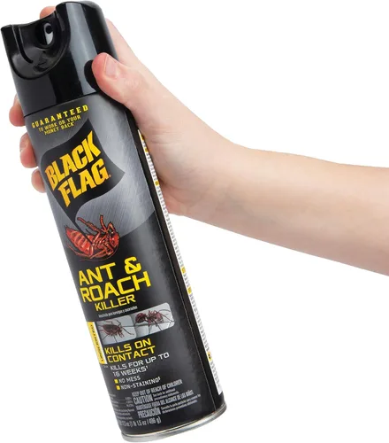 Miniatura 5 de Black Flag Ant & Roach Killer Aerosol, sin perfume, 17.5 onzas, paquete de 12