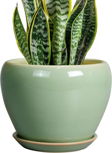 Miniatura 37 de Maceta de Cerámica Moderna con Esmalte para Suculentas con Agujero de Drenaje y Platillo, Maceta Redonda de 6 Pulgadas para Plantas de Flores