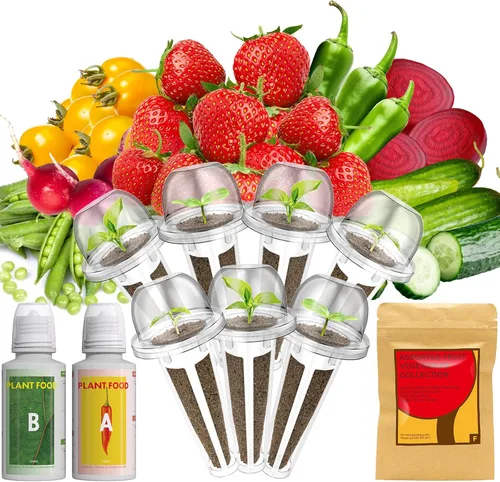 Miniatura 12 de Lyko Heirloom - Kit de vainas de semillas para ensalada AeroGarden, iDoo, Ahopegarden, GARDENCUBE, 7 cápsulas con lechuga American Fast/Paris