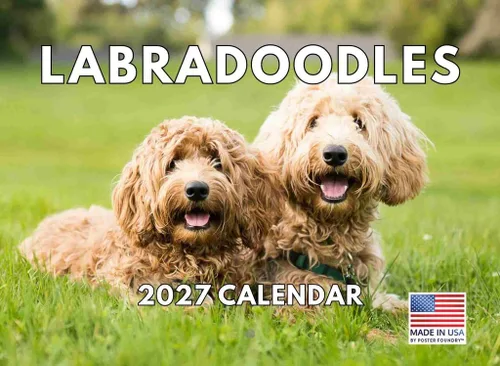 Miniatura 29 de Calendario de pared mensual 2025 Great Dane de 12 meses, fabricado en Estados Unidos