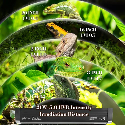 Miniatura 3 de Luz UVB para reptiles T5 de 34.5 pulgadas con accesorio y bombilla UVB 5.0 de alto rendimiento con capucha para terrarios, reptiles que toman el 5.0