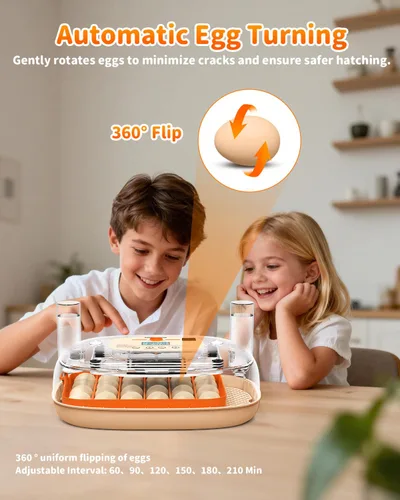 Miniatura 3 de Incubadora de huevos para 24 huevos de gallina con girador automático, control digital de temperatura y pantalla de humedad, vela, criador de aves