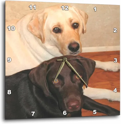 3drose Reloj de pared silencioso - 10 pulgadas - Labrador Retriever - Perros Labrador Retriever