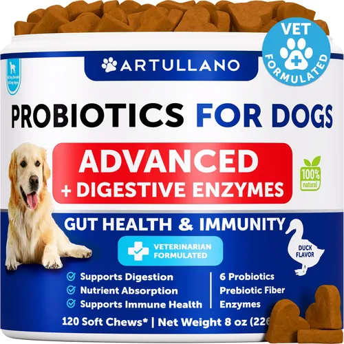Probióticos para perros – Apoya la salud intestinal, picazón en la piel, alergias, inmunidad, equilibrio de levadura – Probióticos para perros y