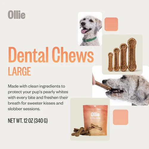 Miniatura 3 de Ollie Masticables dentales para perros grandes, 12 onzas, aliento fresco, golosinas de limpieza de dientes, palos para el cuidado bucal del perro