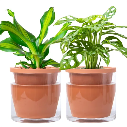 Miniatura 14 de D'vine Dev Maceta de Diseño de Riego Automático de 4 Pulgadas para Plantas de Interior, Maceta de Terracota Azul con Vaso Cilíndrico de Vidrio
