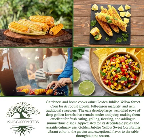 Miniatura 6 de Golden Jubilee - Semillas de maíz dulces amarillas para plantar, más de 30 por paquete, semillas de jardín de Isla, sin OMG y reliquia, nombre