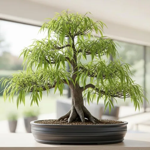 Abby's Willow Bonsai Forest - 5 esquejes de sauce - Árboles en miniatura fáciles de cultivar para jardines interiores o exteriores