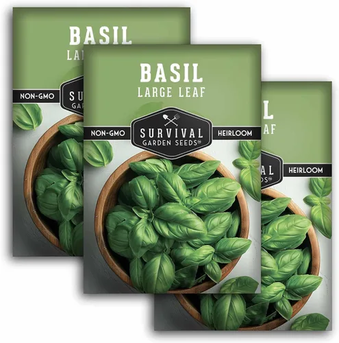 Miniatura 10 de Survival Garden Seeds - Semilla de albahaca de hoja grande para plantar - Paquete con instrucciones para plantar y cultivar plantas de albahaca