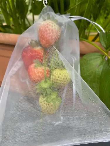 Miniatura 6 de YunKo - 50 bolsas de organza con cordón de 6 x 9 pulgadas, bolsas de malla para joyas, regalos, bolsas de protección para frutas, bolsa de regalo