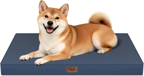 Miniatura 113 de Cama ortopédica de felpa para perros y cachorros medianos, camas impermeables para perros de 30 x 20 pulgadas con funda extraíble lavable, tapete