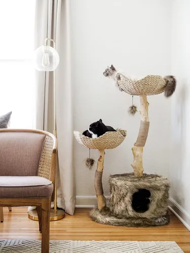 Miniatura 3 de Torre de Árbol para Gatos Moderna, Condominio de Lujo con Ramas Reales, Torre de Gatos de Madera, Árbol para Rascar Gatos, Condominio para Gatos