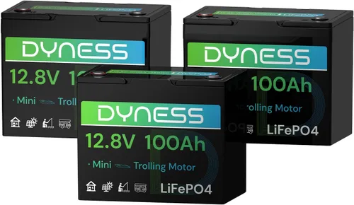 Miniatura 11 de Dyness Batería LiFePO4 de 24 V 100 Ah, batería de litio de 25.6 V con potencia de 2560 Wh, BMS integrado de 100 A con protección a baja temperatura