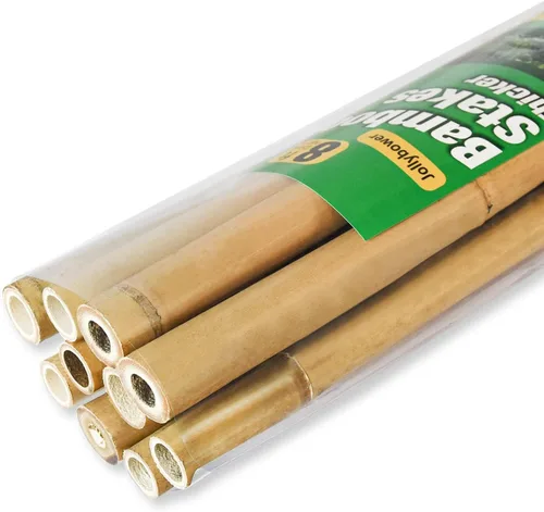 Miniatura 11 de Jollybower 30 piezas de estacas de bambú de 3/10" D más gruesas y resistentes de 2 pies, estacas naturales de jardín para tomate, frijol, flores