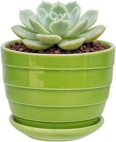 Miniatura 30 de Bonita maceta circular de cerámica para decoración del hogar y jardín, suculentas, cactus, maceta no incluida (azul, 3.19 pulgadas)
