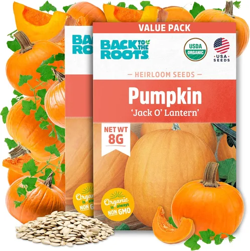 Miniatura 7 de Paquete de semillas - Calabaza 'Azúcar pequeño' 0.09 oz