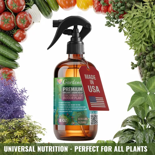 Miniatura 5 de GARDENERA Spray orgánico profesional de algas marinas para plantas AGLAONEMA – 8 oz – Rocío fertilizante de algas marinas y algas marinas totalmente
