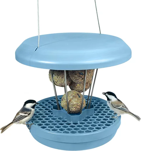 Miniatura 24 de SWISSINNO Comedero para pájaros – Comedero colgante para pájaros sin desorden para exteriores – Smart Birds Davos a prueba de derrames, cardenales