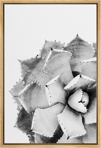 Lienzo enmarcado para pared, diseño de rosa del desierto con pinchos, plantas florales suculentas, fotografía, arte moderno, primer plano,