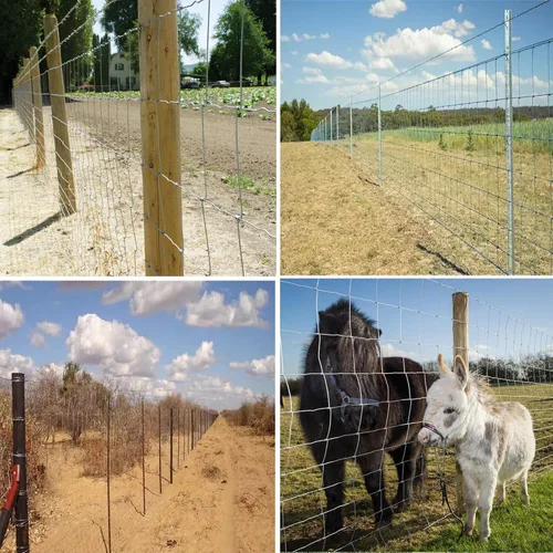 Miniatura 6 de Valla de Granja 4 pies x 164 pies Recubrimiento de Zinc Pesado Valla de Ganado Galvanizada Cerca de Campo Valla para Ovejas Valla para Cabras Malla