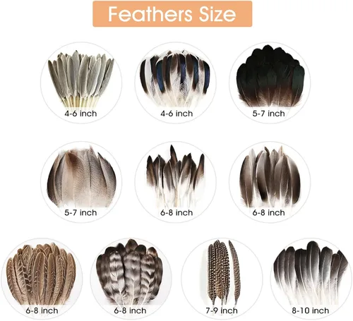 Miniatura 2 de iHUFeather 120 plumas de faisán naturales a granel, 10 estilos de plumas mixtas para manualidades, manualidades, sombreros, arreglos florales, boda
