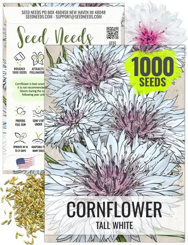 Miniatura 11 de Seed Needs, Semillas de aciano azul enano, 1500 semillas para plantar Centaurea cyanus, flores silvestres polinizadas abiertas para cultivar un