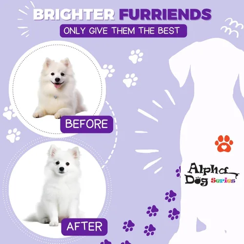 Miniatura 6 de Bright White - Champú y acondicionador natural para perros con aloe vera, juego de champú y acondicionador para perros con pH equilibrado, sin