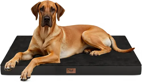 Miniatura 21 de Cama ortopédica de felpa para perros y cachorros medianos, camas impermeables para perros de 30 x 20 pulgadas con funda extraíble lavable, tapete