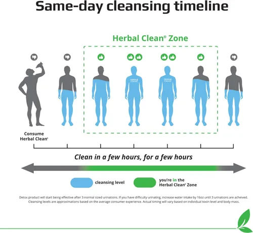 Miniatura 7 de Herbal Clean QCarbo - 20 bebidas desintoxicantes prémium para el mismo día, sabor fresa y mango, 20 onzas líquidas, y tabletas, 5