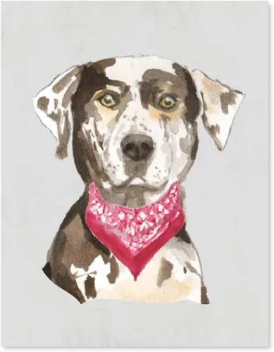 Miniatura 10 de Andaz Press Póster impreso para pared de perro, 8.5 x 11 pulgadas, Shih Tzu en lazo rosa, 1 paquete, regalo de cumpleaños de Navidad, sin marco